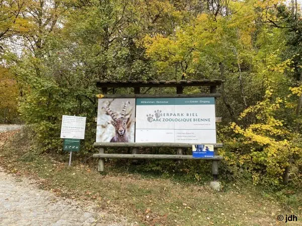 Les cerfs dans le parc animalier