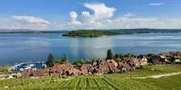 Ligerz / Île Saint-Pierre