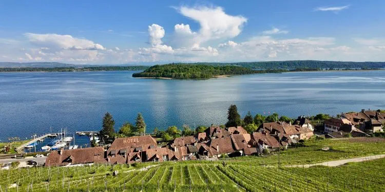 Ligerz und im Hintergrund die St. Petersinsel