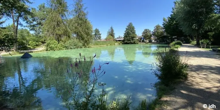 Fischteich mit Forellen